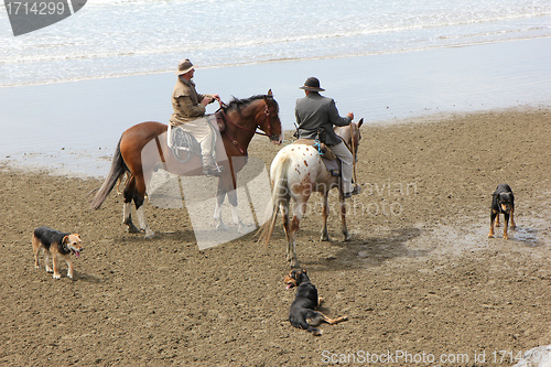 Image of drovers and dogs