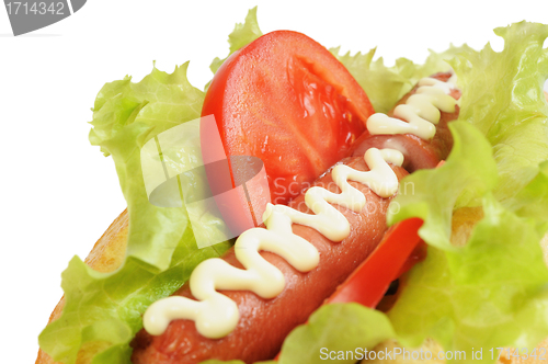 Image of Tasty and delicious hotdog