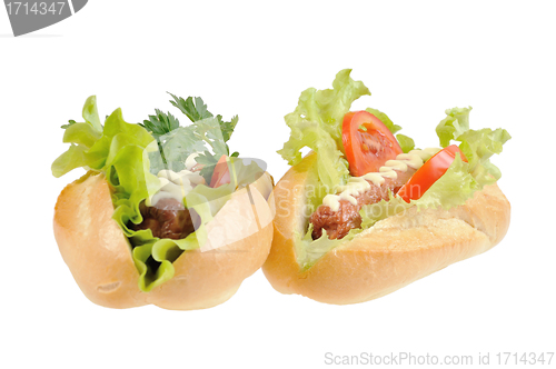 Image of Two tasty and delicious hotdog