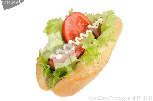 Image of Tasty and delicious hotdog