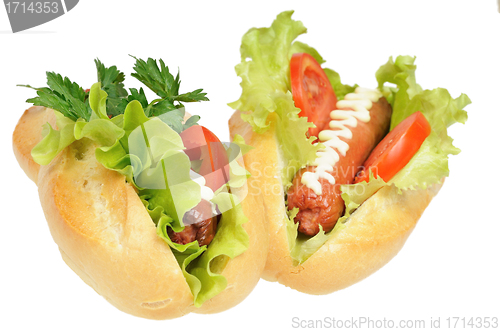 Image of Two tasty and delicious hotdog