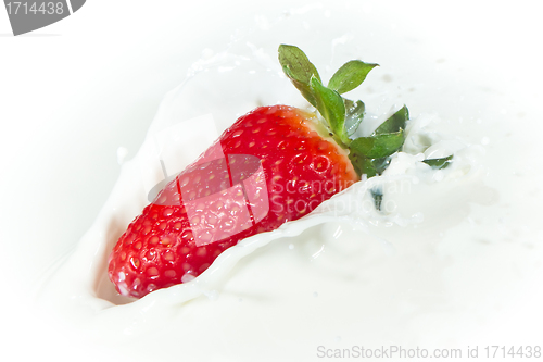 Image of strawberry splashing into milk