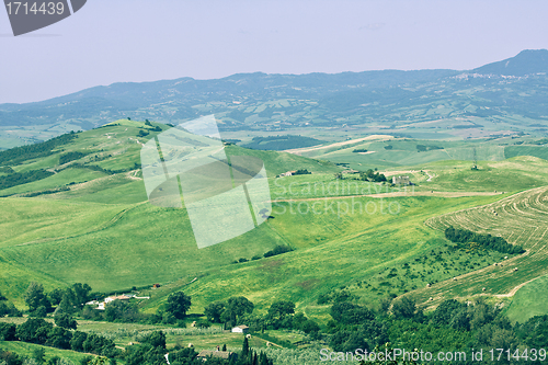 Image of Typical Tuscan landscape