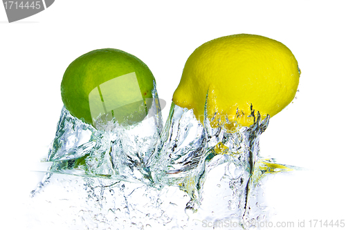 Image of citrus fruit splashing