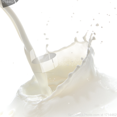 Image of milk splash