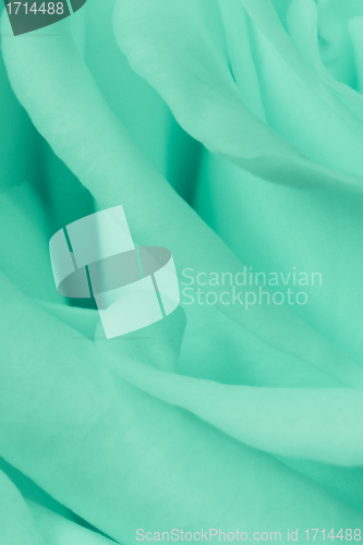 Image of green rose close up