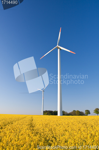 Image of windmill  farm in the rape field