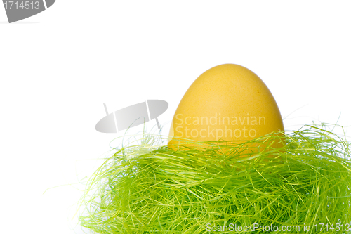 Image of easter egg in nest