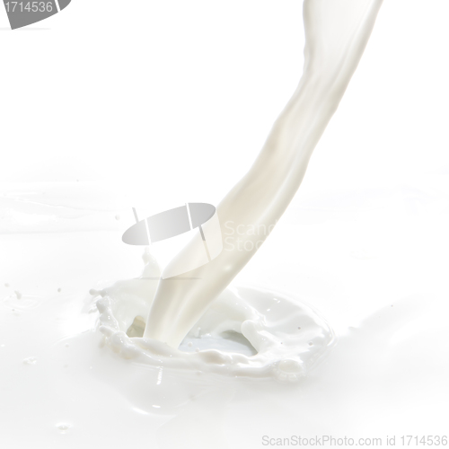 Image of milk splash