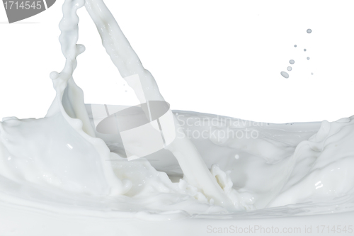 Image of milk splash