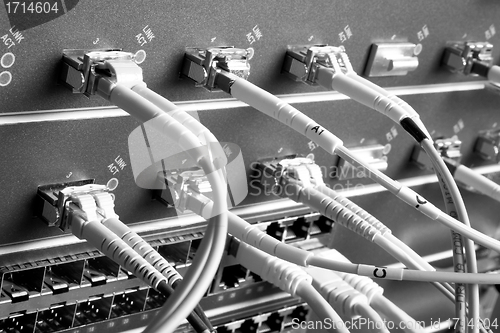 Image of network cables