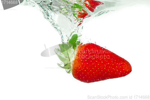 Image of strawberry in the water