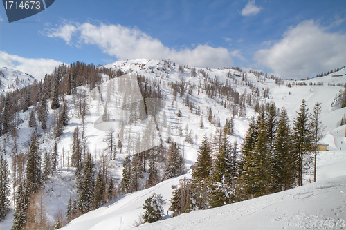 Image of winter alpine landscape