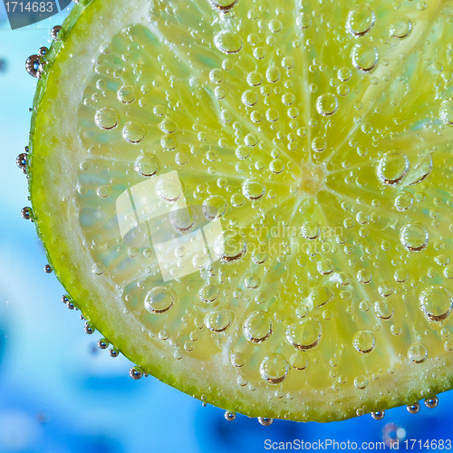 Image of lime in the water