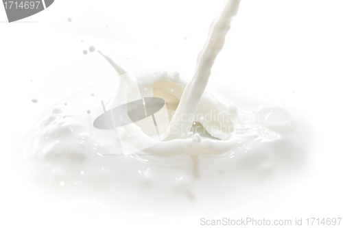 Image of milk splash