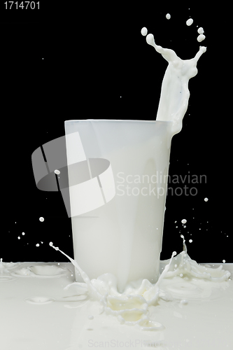 Image of milk splash