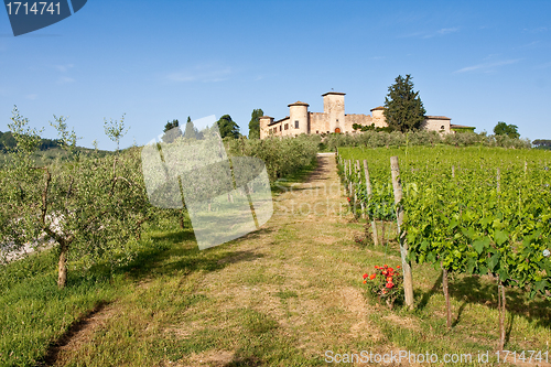 Image of Typical Tuscan landscape