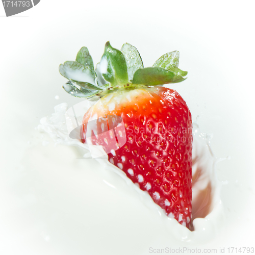 Image of strawberry splashing into milk