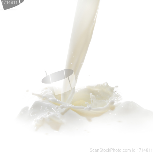 Image of milk splash