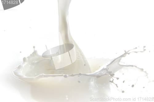 Image of milk splash