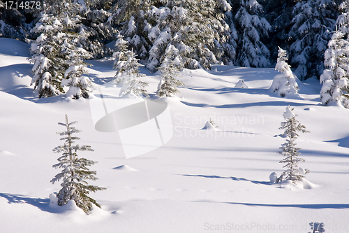 Image of fresh snow in the mountains