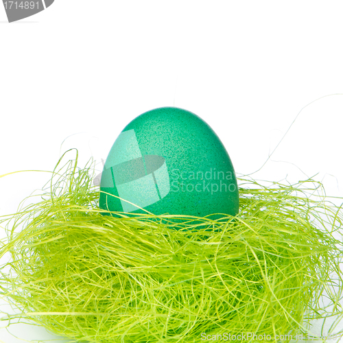 Image of easter egg in nest