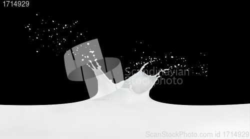 Image of milk splash