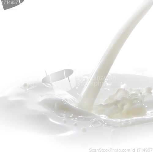 Image of milk splash