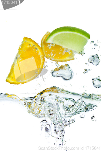 Image of citrus fruit splashing