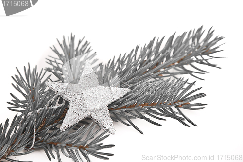 Image of Christmas tree with star