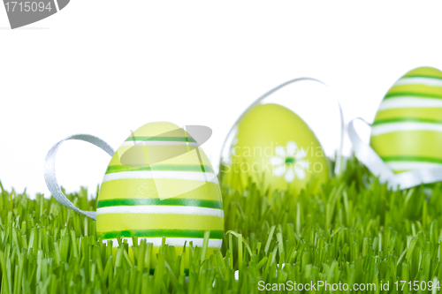 Image of easter eggs in grass