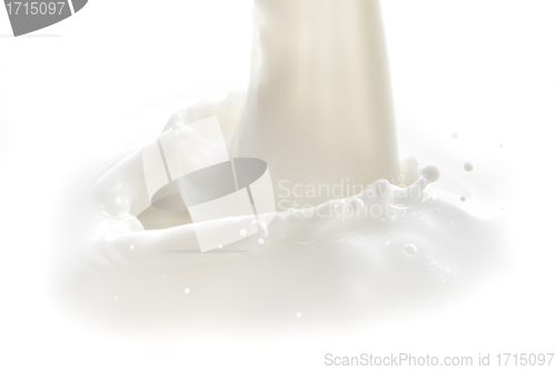 Image of milk splash
