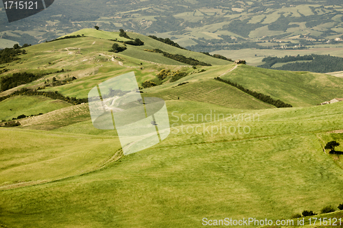 Image of Typical Tuscan landscape