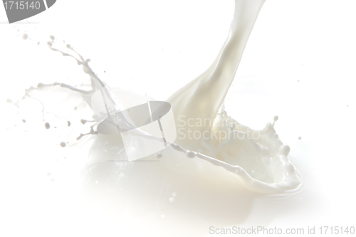 Image of milk splash