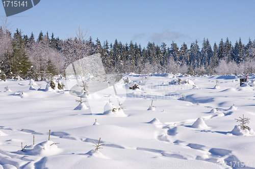 Image of fresh snow in the mountains