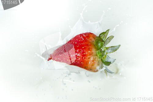 Image of strawberry splashing into milk