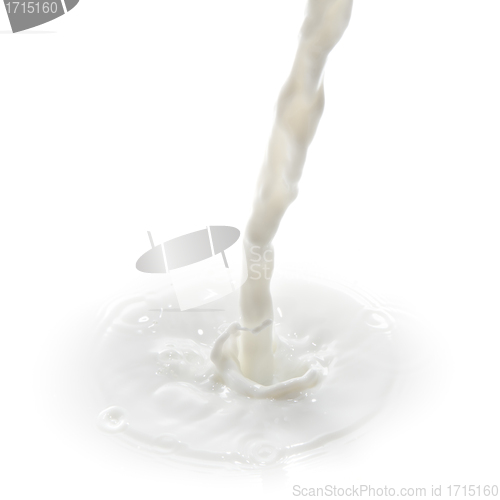 Image of milk splash