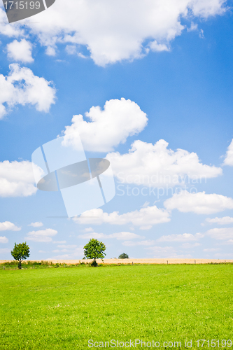 Image of agriculture landscape