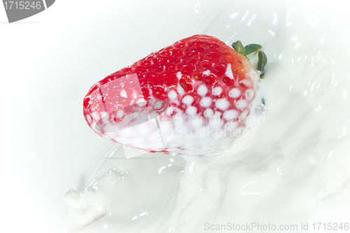 Image of strawberry splashing into milk