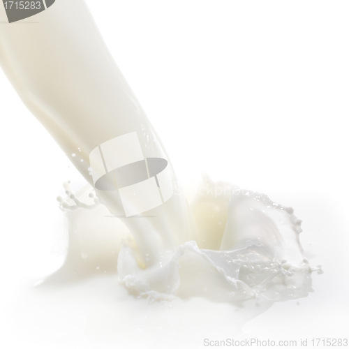 Image of milk splash