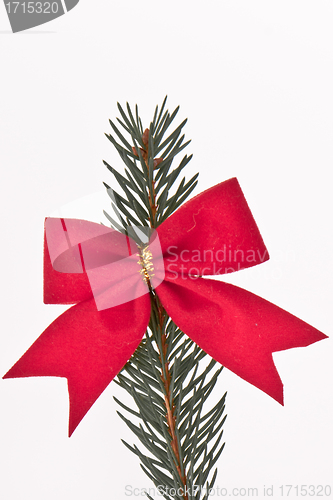 Image of decorated Christmas tree branch