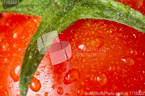 Image of tomato closeup