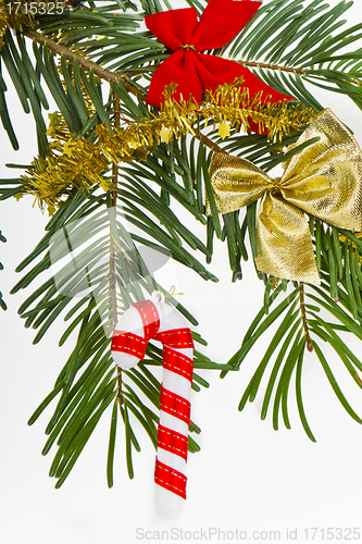 Image of Christmas branch 
