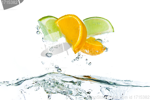 Image of citrus fruit splashing