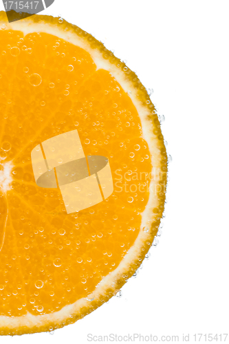 Image of mandarine with bubbles