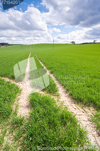 Image of green field