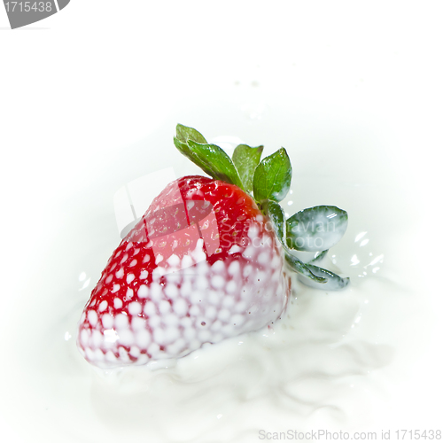 Image of strawberry splashing into milk