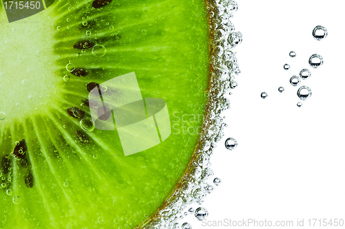 Image of kiwi with bubbles
