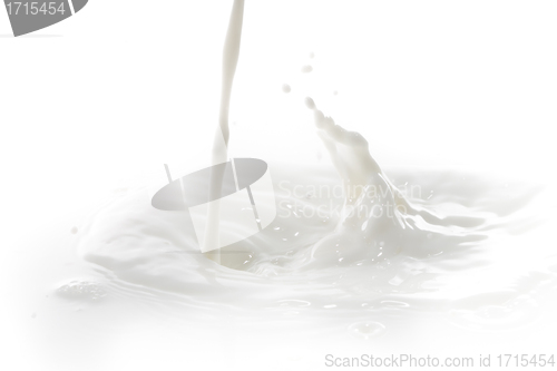 Image of milk splash