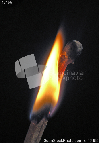 Image of Burning Match